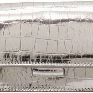 Metallic Silver Evening Mini Purse Crossbody Clutch for Nightclub Parties